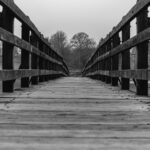 bridge, wooden, forest, path, nature, boardwalk, wood, trail, hiking, walking, construction, journey, depression, arch, springtime, past, instagram, trees, light